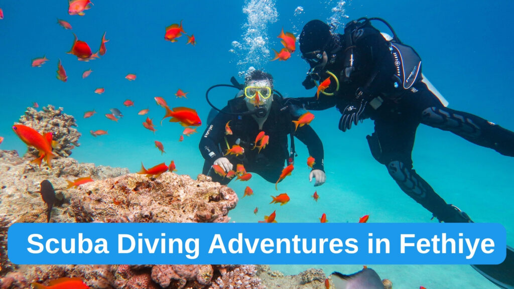 Underwater Wonders of the Turquoise Coast