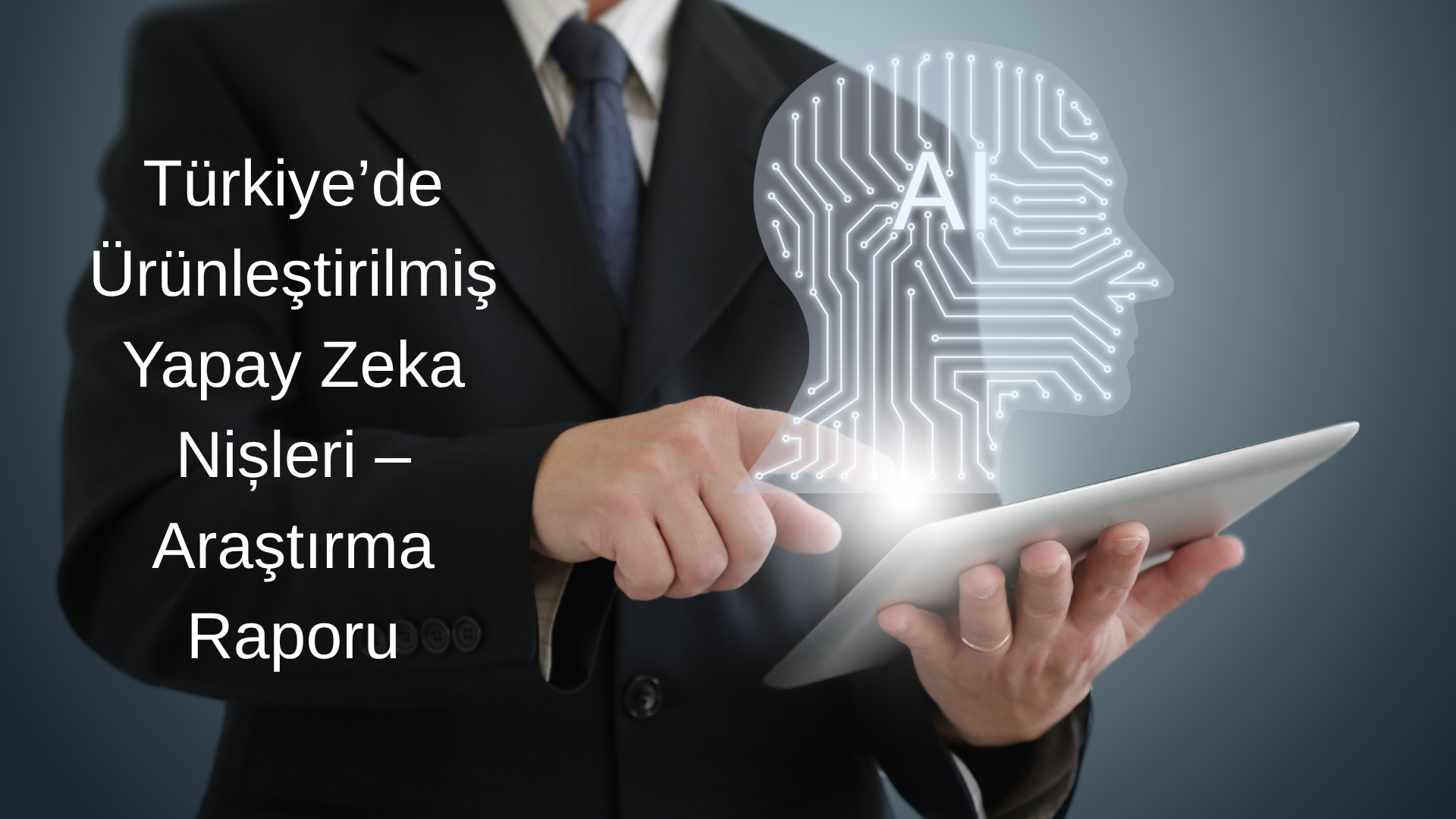 Türkiye’de Ürünleştirilmiş Yapay Zeka Nișleri – Araştırma Raporu